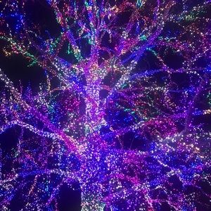 Meet your Posher, Miranda